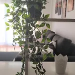 El Chulo Апартаменты *