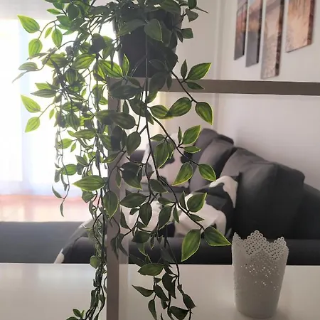 El Chulo Apartamento *