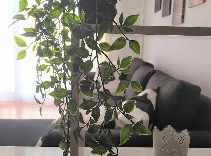 El Chulo Appartement *